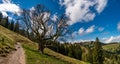 Mountain tour along the Alpenfreiheit premium trail near Oberstaufen