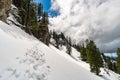 Mountain tour along the Alpenfreiheit premium trail near Oberstaufen