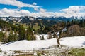 Mountain tour along the Alpenfreiheit premium trail near Oberstaufen