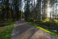 Mountain tour along the Alpenfreiheit premium trail near Oberstaufen