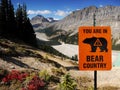 Bear Country, Canadian Rockies, Canada Royalty Free Stock Photo