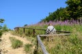 Mountain trail - Bieszczady