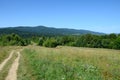 Mountain trail - Bieszczady