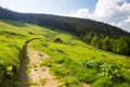 Mountain trail through a coniferous forest and a green alpine meadow with wooden houses on it. Mountain landscape with a house on Royalty Free Stock Photo