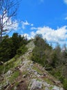 Mountain trail going through an alpine landscape Royalty Free Stock Photo