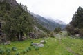 Mountain trail in the gorge Dugoba