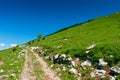 Mountain trail on green slope Royalty Free Stock Photo