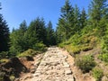 Stone trail, mountain hiking path. Hiking uphill, evergreen forest in the mountains. Trekking in Sudetes, Poland, Europe. Royalty Free Stock Photo