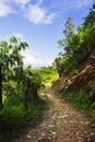 Mountain trail in Himalayas. Natural landscape. Pokhara, Nepal Royalty Free Stock Photo