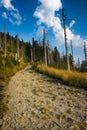 Mountain trail - Lysa hora Royalty Free Stock Photo