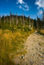 Mountain trail - Lysa hora Royalty Free Stock Photo