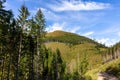 Mountain trail with pine trees and spruces on the sides in Lejowa Valley in Tatra Mountains National Park in Poland Royalty Free Stock Photo