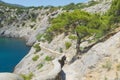 A mountain trail with a stone railing next to a lone tree