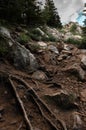 Mountain trail with tree roots and stones Zyuratkul Range Royalty Free Stock Photo