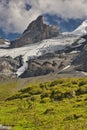 Oeschinensee, Kandersteg. Berner Oberland. Switzerland