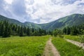Mountain trails in June. Kondratowa Valley. Tatry