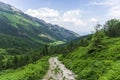 Mountain trails in June. Kondratowa Valley. Tatry
