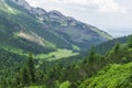 Mountain trails in June. Kondratowa Valley. Tatry