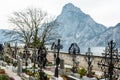 Mountain Traunstein with Graveyard Royalty Free Stock Photo