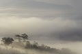 Fog obscures mountains Royalty Free Stock Photo