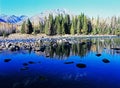 Mountain tree and lake