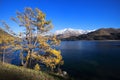 Mountain tree with lake and blue sky Royalty Free Stock Photo