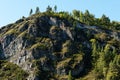 A mountain with trees on top. Close-up of rocky rocks