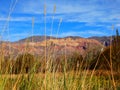 mountain triking of beautifull colors