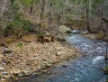 Mountain Trout Stream in the Blue Ridge Mountains Royalty Free Stock Photo