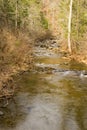 A Mountain Trout Stream in the Blue Ridge Mountains of Virginia, USA Royalty Free Stock Photo