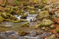 Mountain Trout Stream - 1