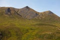 Mountain tundra bug-brush Yukon Territory Canada