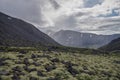 Mountain tundra with mosses and rocks covered with lichens, Hibiny mountains above the Arctic circle, Kola peninsula, Russia. Royalty Free Stock Photo