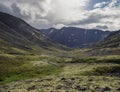 Mountain tundra with mosses and rocks covered with lichens, Hibiny mountains above the Arctic circle, Kola peninsula, Russia. HDR