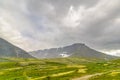 Mountain tundra with mosses and rocks covered with lichens, Hibiny mountains above the Arctic circle, Kola peninsula, Murmansk Royalty Free Stock Photo