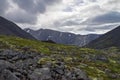 Mountain tundra with mosses and rocks covered with lichens, Hibiny mountains above the Arctic circle, Kola peninsula, Russia Royalty Free Stock Photo