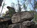 Mountain Turtle. Stone blockages of the taiga. Impenetrable forest. Siberian patterns of nature, Irkutsk. Siberia