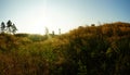 The Mountain twilight sky power full color,The mountain is full of grass. Grasses are blown in the direction of the wind. Before s Royalty Free Stock Photo