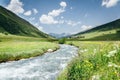 Lush mountain stream flowing around fence, through the valley in Switzerland Alps during the sunny hot summer day Royalty Free Stock Photo