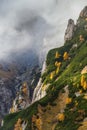 Mountain valley in the Bucegi Mountains, Romania Royalty Free Stock Photo