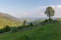 Mountain valley in the Carpathian Mountains at sunny spring evening Royalty Free Stock Photo