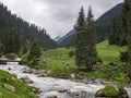 Mountain valley covered with pine trees and a log bridge over th