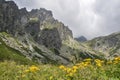Mountain valley with fresh grass and blooming flowers and rocky mountain ridge of High Tatras, Slovakia Royalty Free Stock Photo