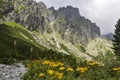 Mountain valley with fresh grass and blooming flowers and rocky mountain ridge of High Tatras Royalty Free Stock Photo