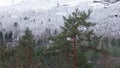 Mountains at Gudbrandsjuvet gorge in Valldola valley on Trollstigen route in snow in Norway Royalty Free Stock Photo