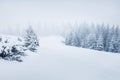 Mountain valley after a huge blizzard. Splendid outdoor scenewith snow covered fir trees, Happy New Year celebration concept.