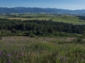 Mountain valley with meadow, forest, green fileds and with blue misty slopes of low tatra mountais in the distance