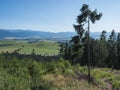 Mountain valley with meadow, spruce forest, green fileds and with blue misty slopes of low tatra mountais in the