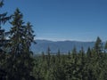 Mountain valley with meadow, spruce tree forest, green fileds and with blue misty slopes of low tatra mountais in the