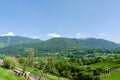 Mountain valley in National reserve park of Lescun, France. Vivid greenery at summertime